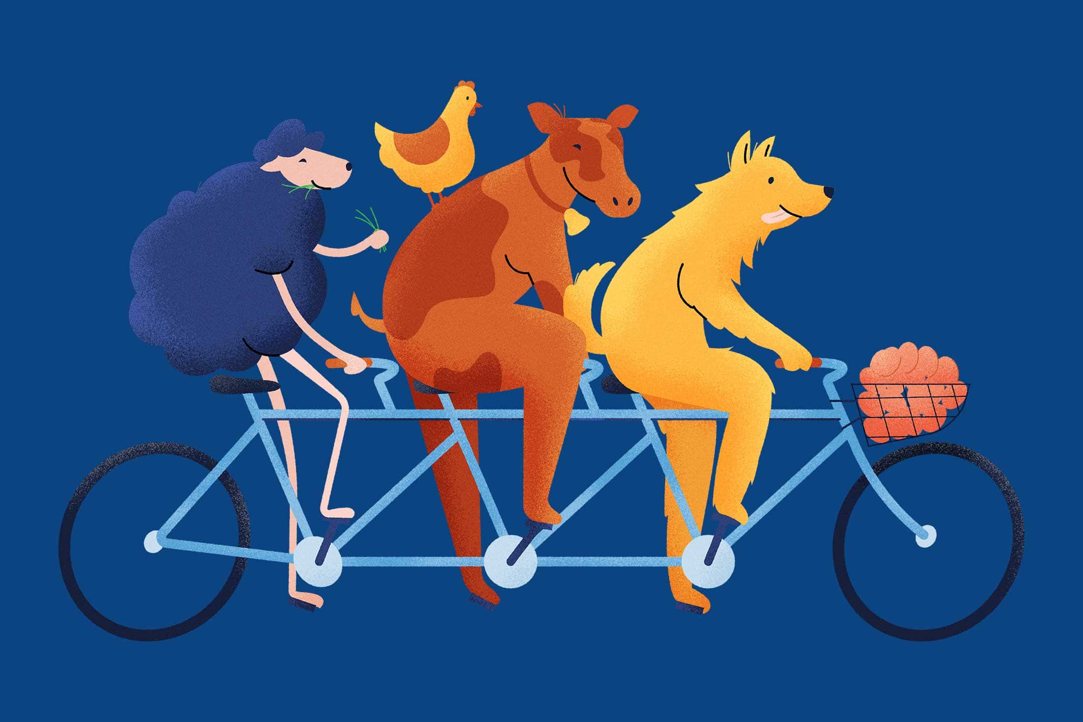 Lamond-Farm-Bike-Illustration-farm-fresh